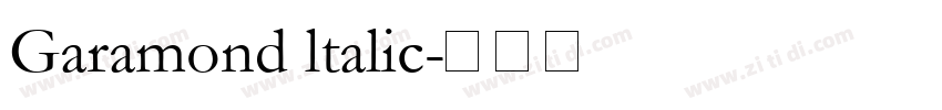 Garamond ltalic字体转换